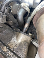 WhatsApp Image 2025-06-12 at 13.01.56.jpeg